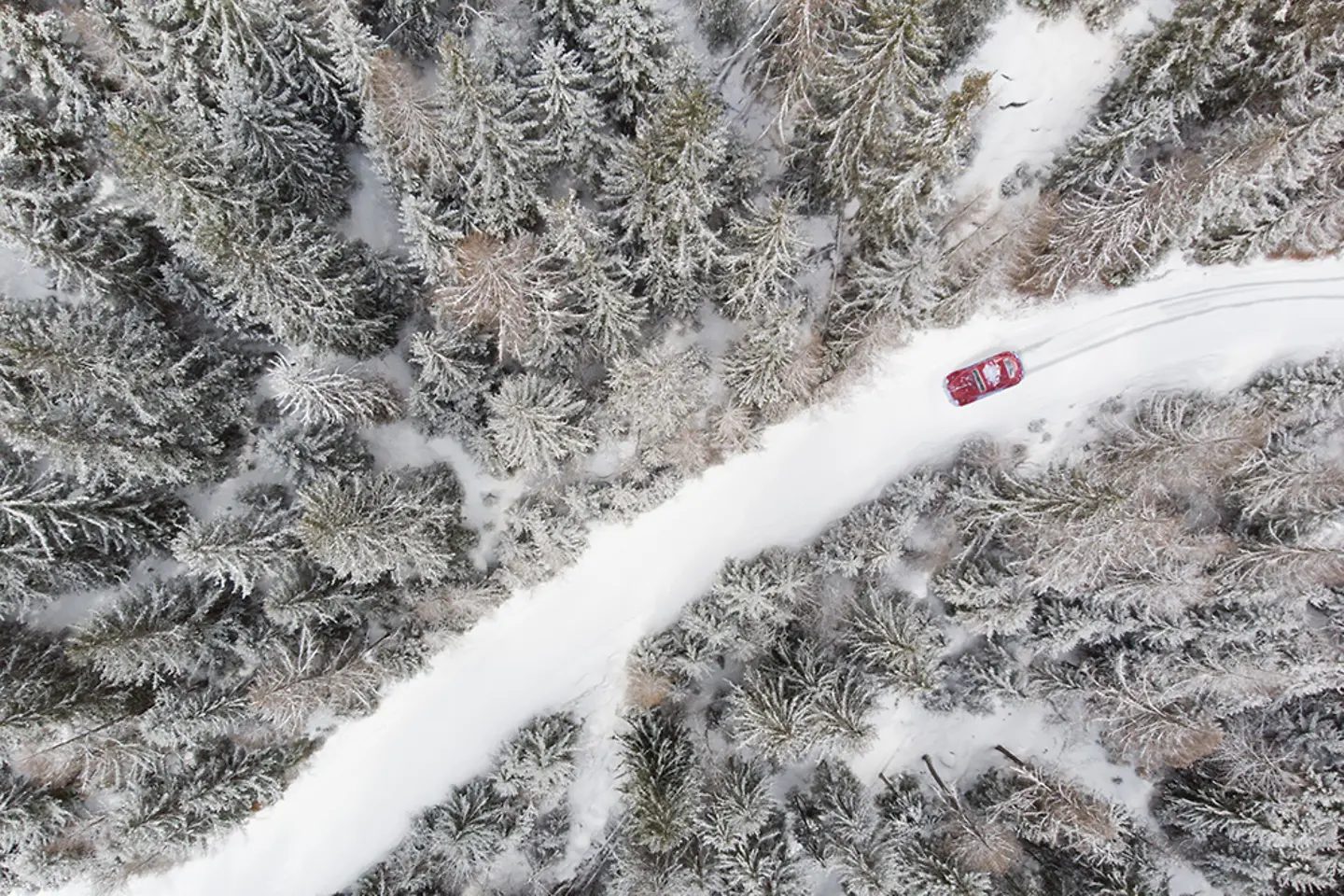 A road winding through a forest
