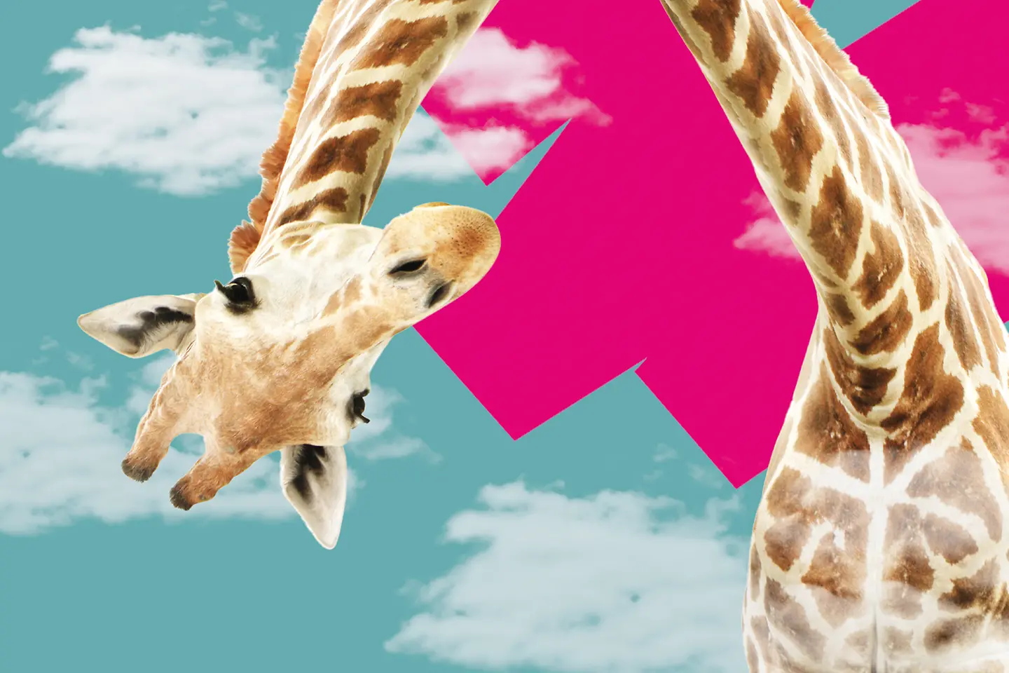 Giraffe mit Wolken im Hintergrund