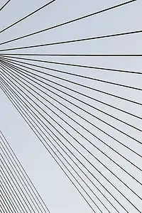 Graphics of many black lines, whose distance to the outside is getting bigger and bigger.