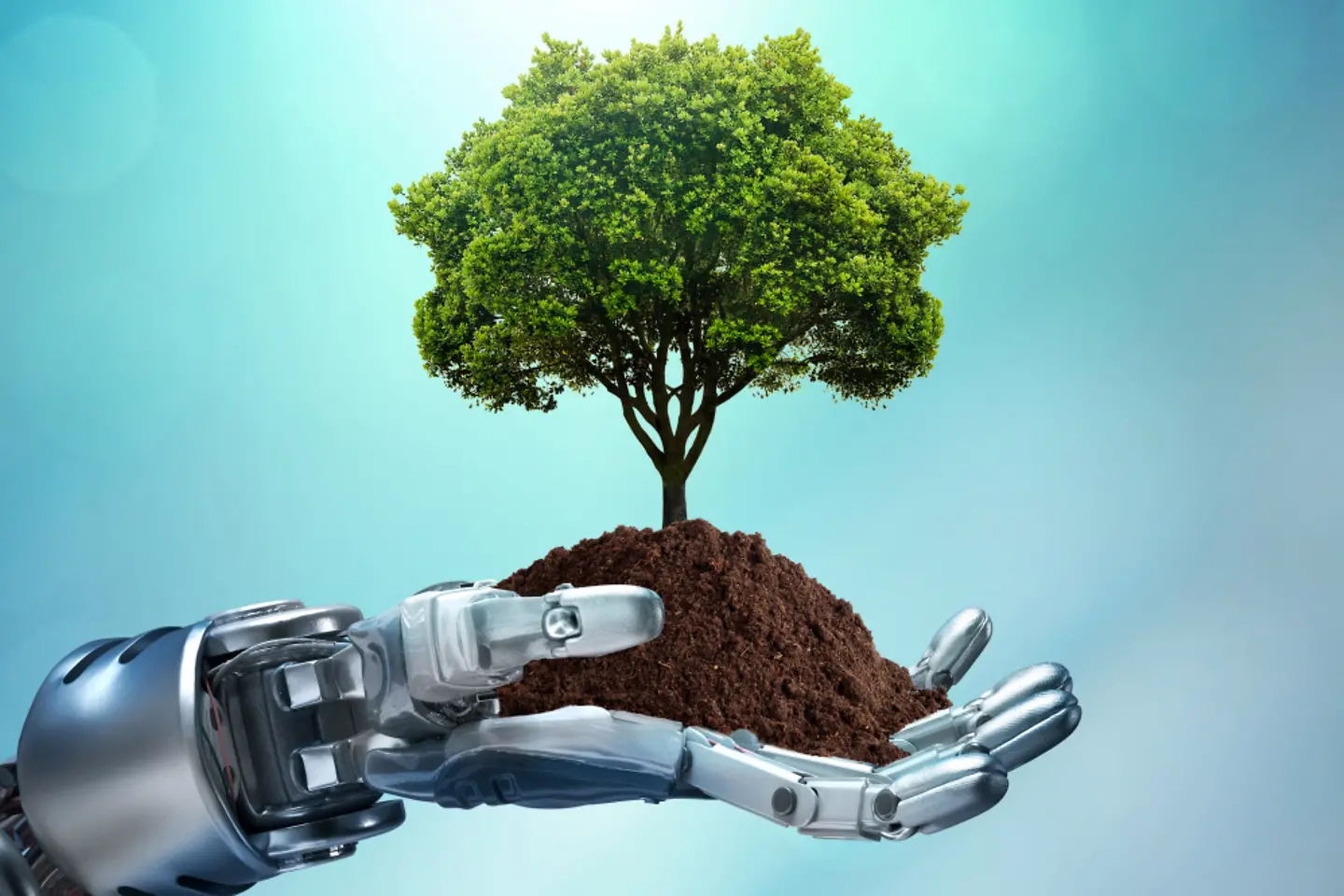 A robotic hand holds a pile of earth and a tree is growing from it