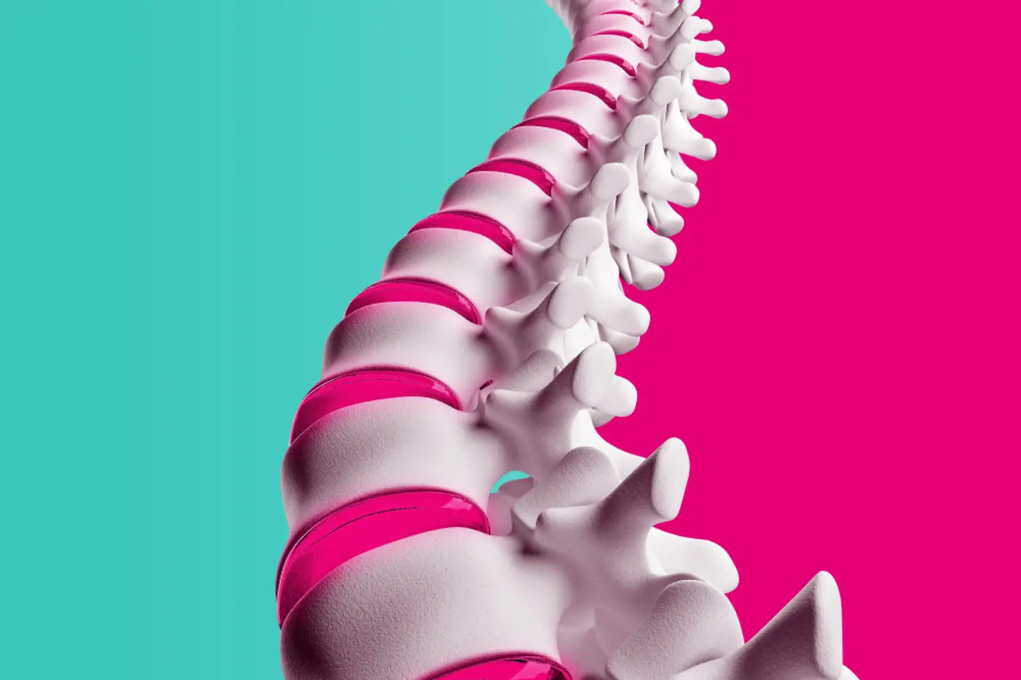 Modelo de una columna vertebral delante de un fondo de color magenta-menta