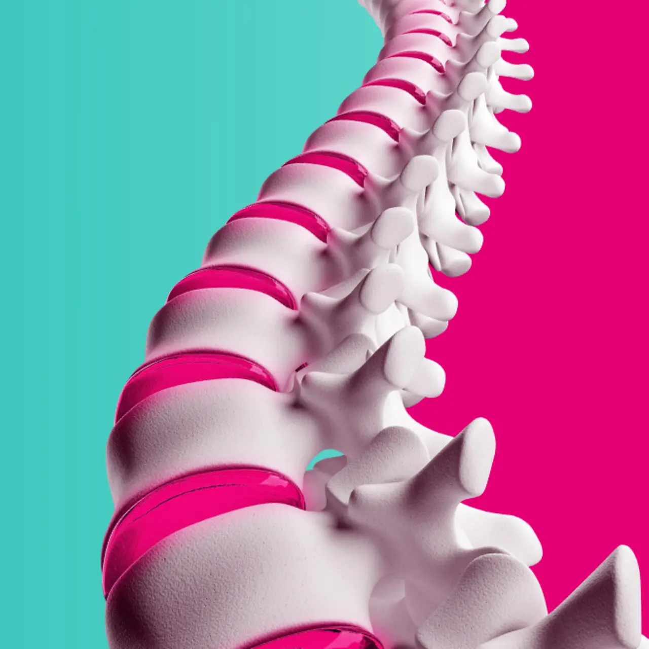 Model of a spine in front of a magenta-mint coloured background